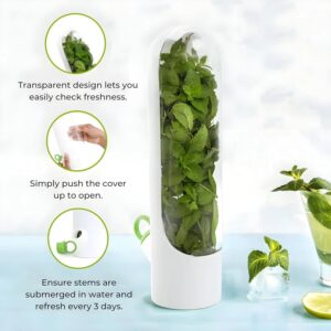 Alternative view of Vertical Hydro-Fresh Herb Keeper
