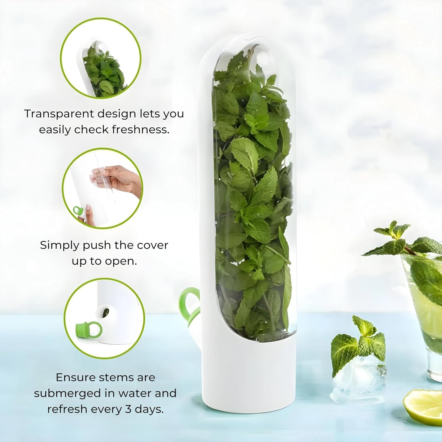 Vertical Hydro-Fresh Herb Keeper - Image 2